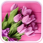 Logo of Pink Tulips Live Wallpaper android Application 