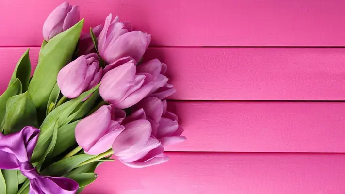 Pink Tulips Live Wallpaper android App screenshot 1