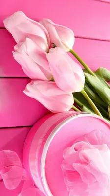 Pink Tulips Live Wallpaper android App screenshot 2