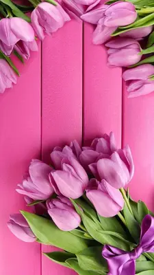 Pink Tulips Live Wallpaper android App screenshot 3