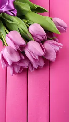 Pink Tulips Live Wallpaper android App screenshot 5